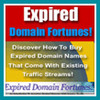 Thumbnail Expired Domain Fortunes - Buying expired domain & how to use