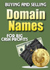 Thumbnail Buying & Selling Domain Names - for cash profits