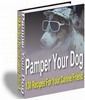 Thumbnail Pamper Your Dog Recipes For Your Canine Friend