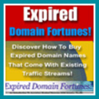Product picture Expired Domain Fortunes - Buying expired domain & how to use