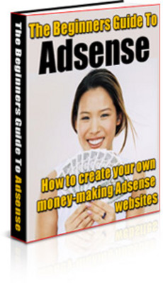 Product picture the beginners guide to adsense