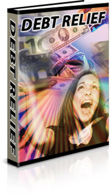 Product picture Debt Relief PLR