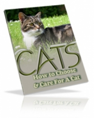 Product picture Cats : How To Choose & Care For A Cat 