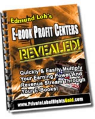 Product picture E-Book Profit Centers Revealed 