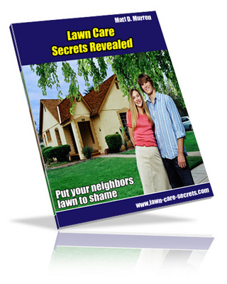 Product picture Lawn Care NICHE The Professional Look