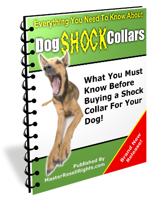 Product picture Everything You Need To Know About Dog Shock Collar